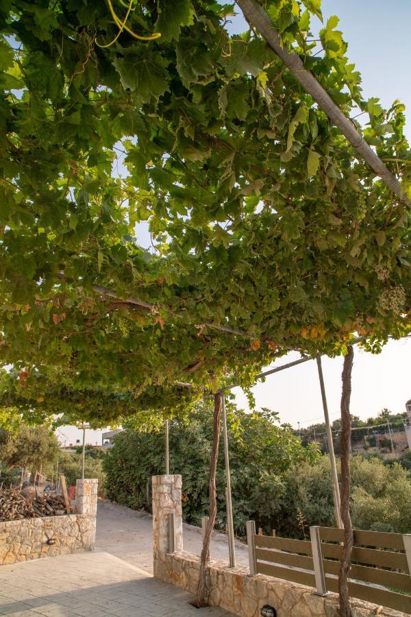 Hello Village Chania Sfakianalion Exteriör bild